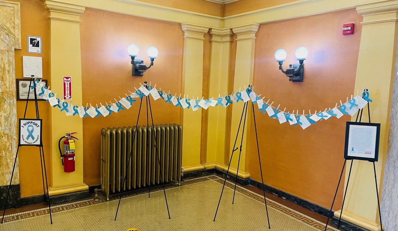 Sexual Assault Display2.4.5.23